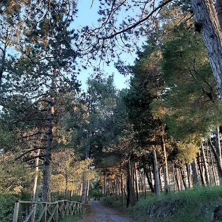 Appartamento Rustico Ad Aieta * Aieta